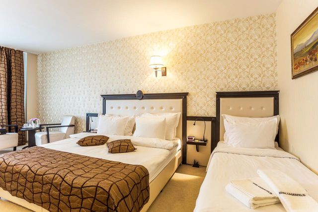 Losenets Hotel - double/twin room luxury