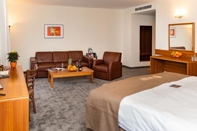 Panorama Hotel - double room business