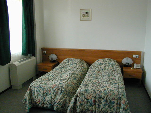 Bansko Hotel - Habitacin de camas gemelas