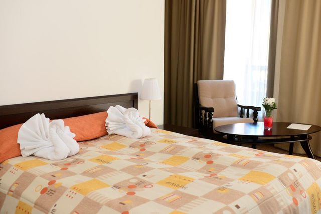 Chiflika Palace Hotel & SPA Zeus International - single room