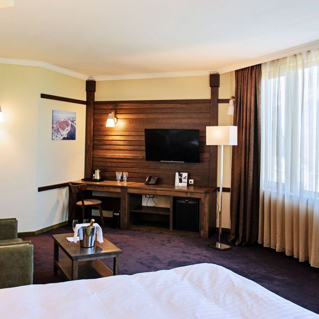Hot Springs Medical & SPA - Double Comfort Room