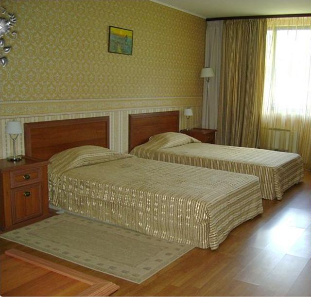 Tsarsko Selo - double/twin room