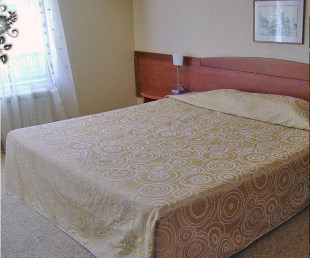 Tsarsko Selo - double/twin room luxury