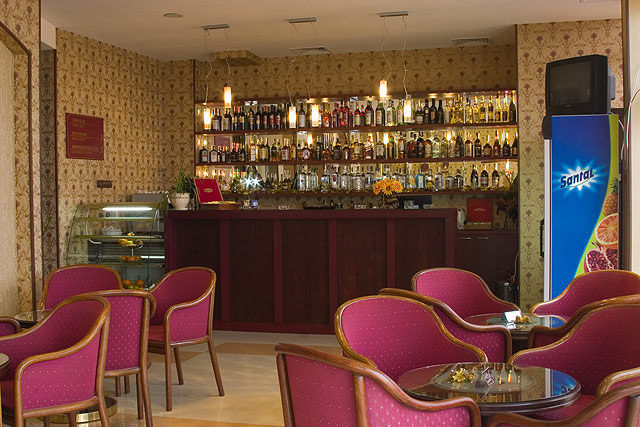 Sofia Plaza Hotel - Lobby bar