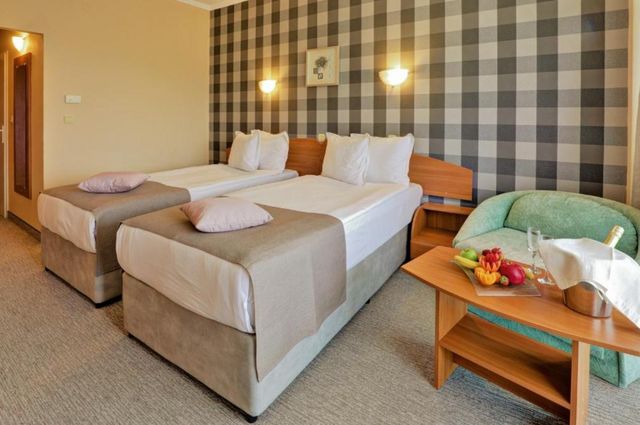 Edelweiss Hotel - single room