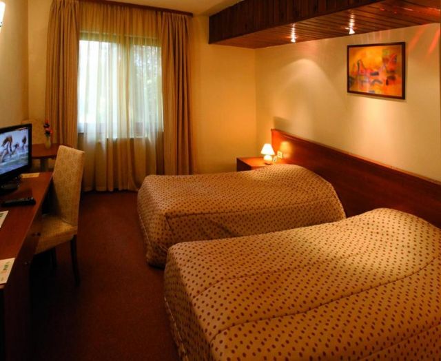 Pirin hotel - Deluxe Zimmer mit zwei getrennten Betten