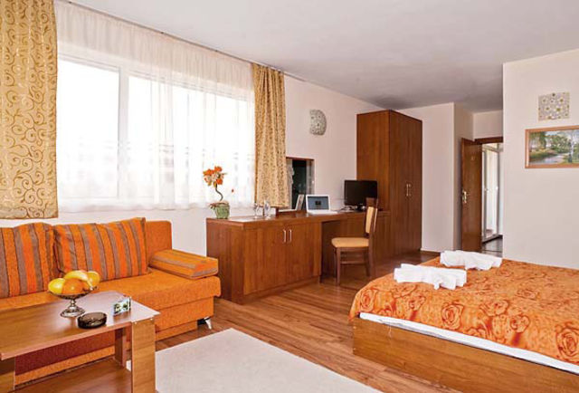 Hotel complex Yaev - double/twin room