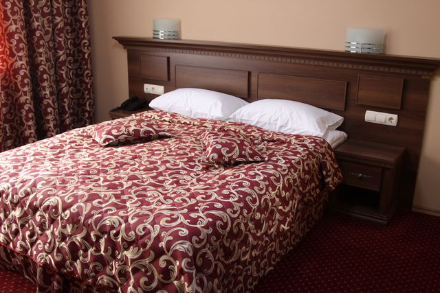 Hotel Park Bachinovo - SGL room (big bed)