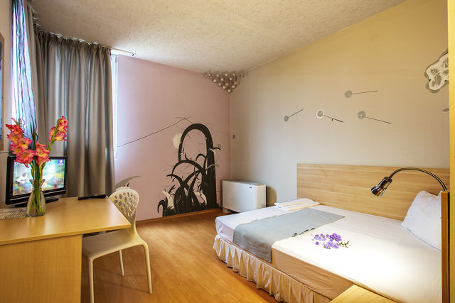 Simona hotel - single room