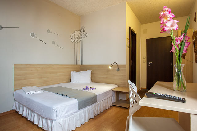 Simona hotel - single room