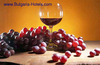 Russian Interest in Wine Tourism in Bulgaria Grows