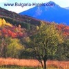 Ecotourism in Bulgaria rapidly gains popularity