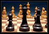 Sofia to host world chess crown showdown in April 2010