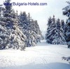 Bulgarias neighbours to enjoy skiing resorts