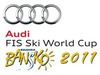 FIS examines Banskos preparation for Men Alpine Skiing World Cup 2011