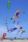 Festival of Kites starts in coastal resort Shabla 