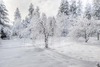 First snow in Pamporovo ski resort and Smolyan 