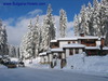 Snow Blanket Covers Bulgaria's Pamporovo Ski Resort