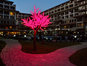 Olymp Apartcomplex