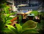 Evergreen Apparthotel & Spa