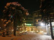 Pirin hotel