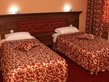 Bachinovo Hotel Park - double room (twin beds)