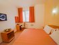 Daisy Apartments - Apartment