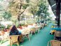 Danube Plaza hotel - 	Cocktail-Bar Markiza