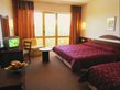 PRIMA Continental Park Hotel - double room 3+*