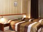 Premier Hotel - Double room standard