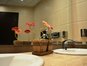 Hotel Riverside - Studio