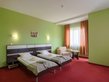 Arbanassi Park Hotel - Single room