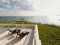 Calithea Complex - Studio