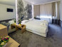 Park Hotel RAYA Garden /ex Sveta Gora Complex - Single room
