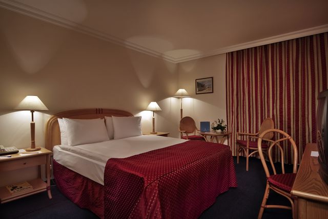 Ramada Sofia Hotel - single room