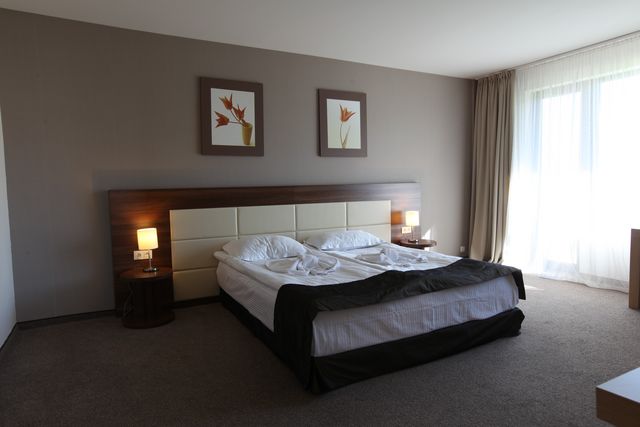 Belchin Garden SPA hotel - single room