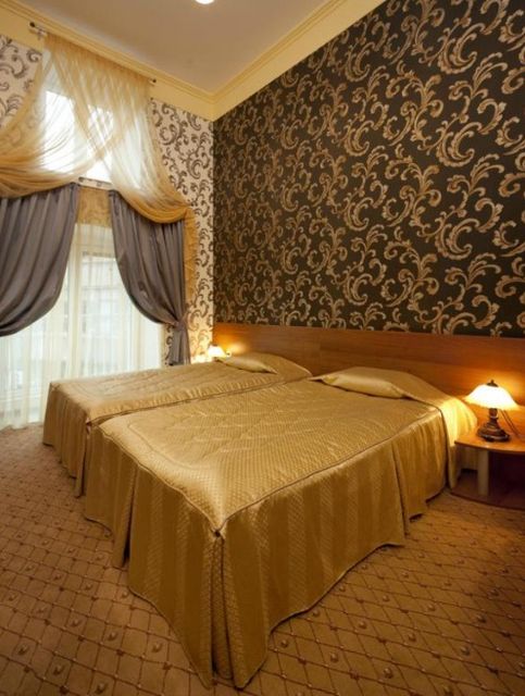 Ana Palace Hotel - single room