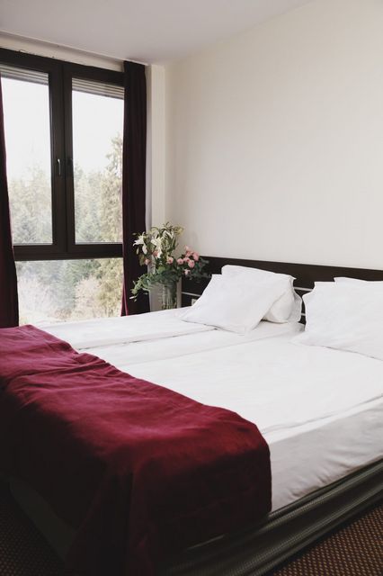 Borovets Green Hotel - penthouse mezonette (3 bedrooms)