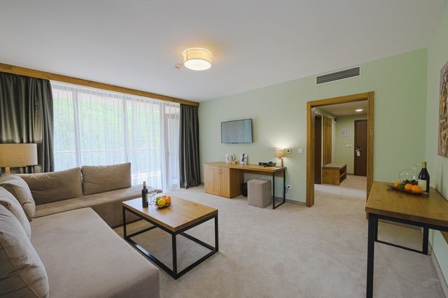 Orbita Spa Hotel - 2-bedroom apartment