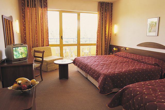 Park Hotel Continental - double room 3+*