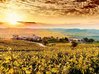 Zornitza Family Estate Relais & Chateaux