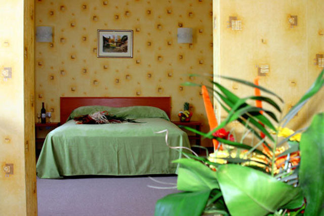Park Hotel Dryanovo - double/twin room