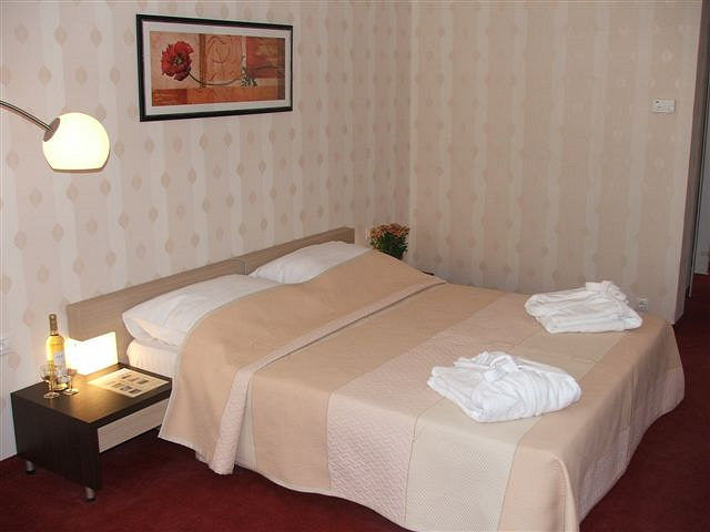 Hill Hotel - double/twin room