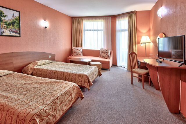 Estreya Palace Hotel - double/twin room