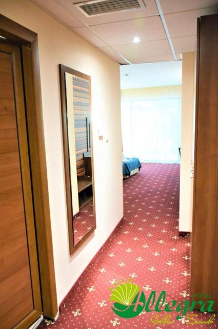 Allegra Balneo and SPA hotel - single room