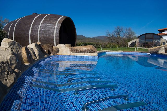 Winery Starosel Thracian residence hotel - Recreation