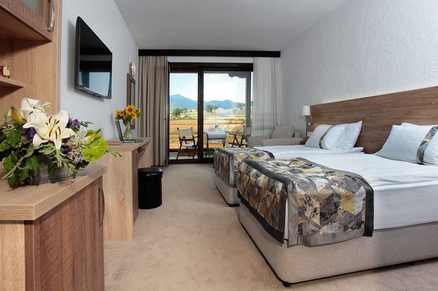 Winery Starosel Thracian residence hotel - DBL room Comfort