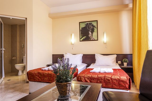 Aspa Vila Hotel & SPA - double room without balcony