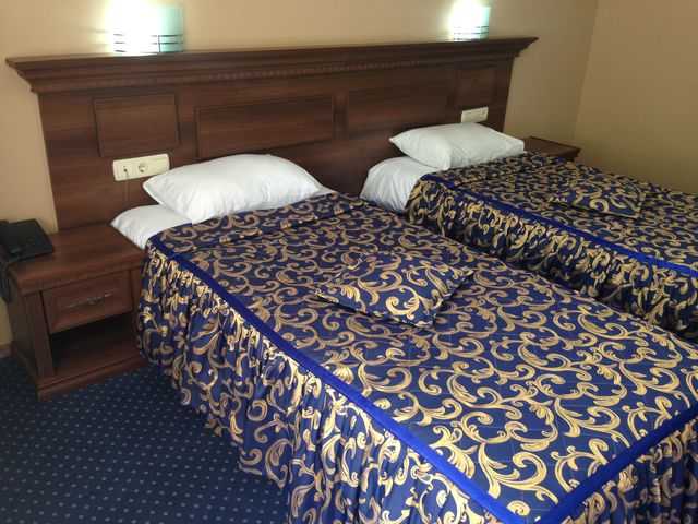 Hotel Park Bachinovo - double room (twin beds)