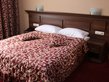 Bachinovo Hotel Park - single room (big bed)
